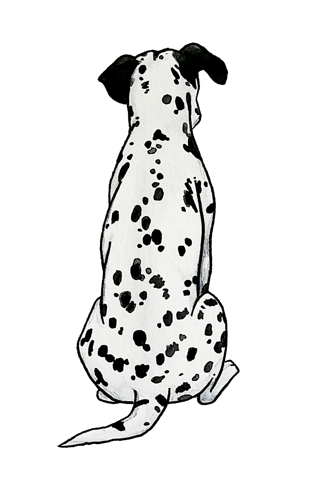 Dalmatian Sticker