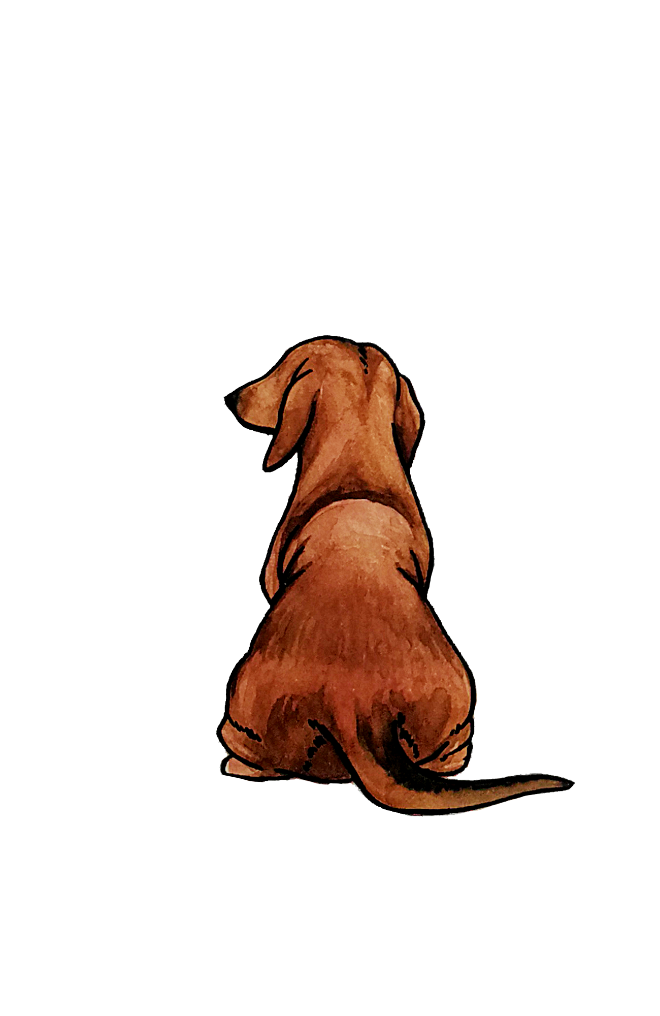 Dachshund Sticker - 2