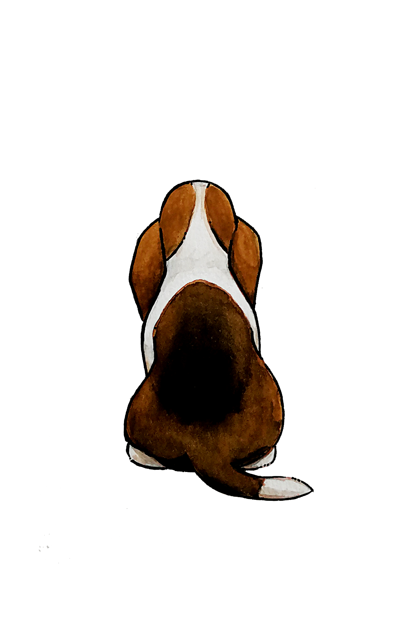 Basset Hound Sticker