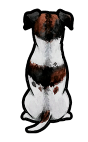 Jack Russell Terrier - Sticker