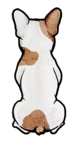 French Bulldog - Sticker #2