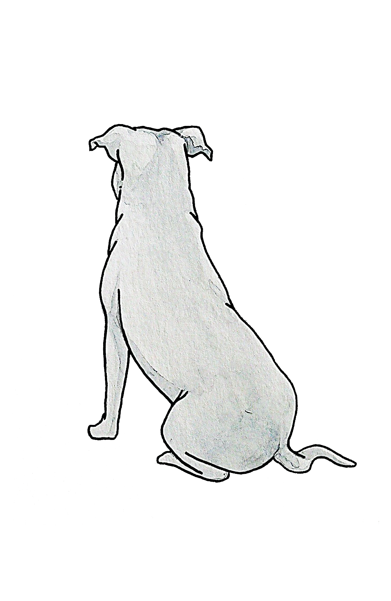Staffordshire Bull Terrier