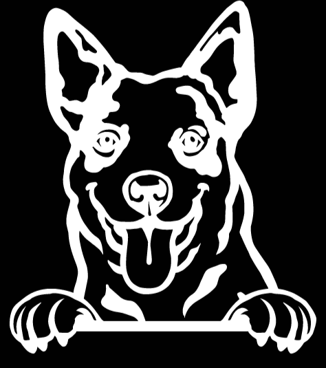 Australian Cattle Dog Peeking - Vinyl Decal