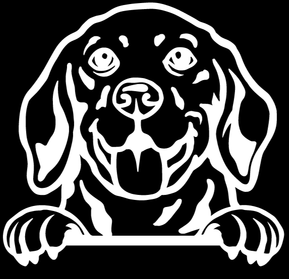 Beagle Peeking - Vinyl Decal