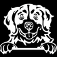 Bernese Mountain Dog Peeking - Vinyl Decal