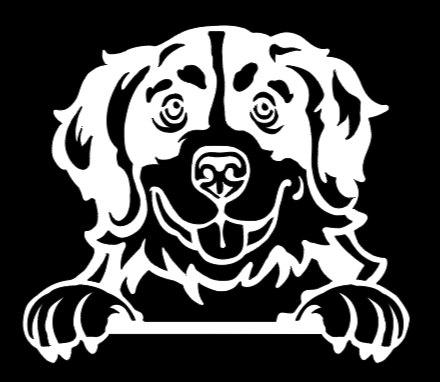 Bernese Mountain Dog Peeking - Vinyl Decal