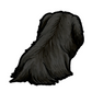 Pekingese Sticker