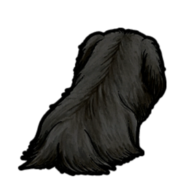 Pekingese Sticker