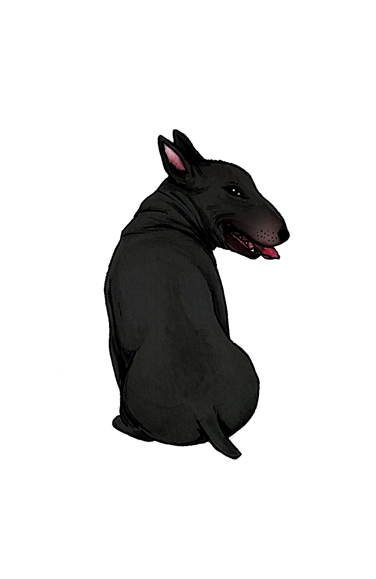 Bull Terrier - Sticker