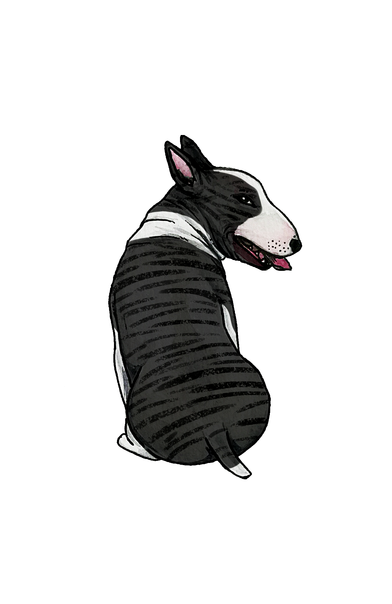 Bull Terrier - Sticker