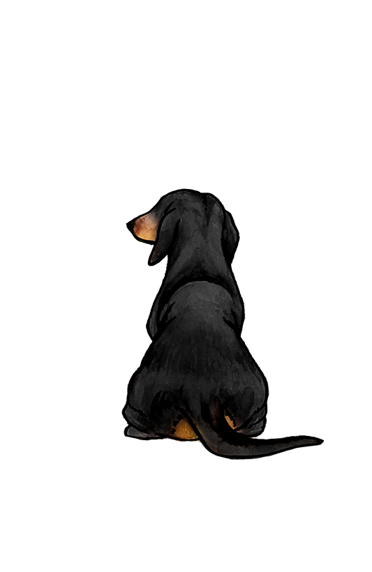 Dachshund Sticker - 2