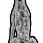 German Shorthaired Pointer - Sticker #2