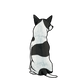 Chihuahua Sticker