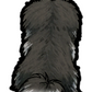 Pomeranian Sticker