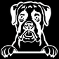 Boxer Peeking - Vinyl Decal