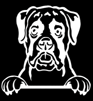 Boxer Peeking - Vinyl Decal