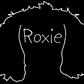 Boykin Spaniel Mom or Custom Name Ears - Vinyl Decal
