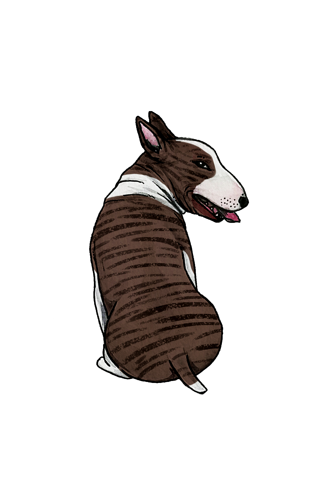 Bull Terrier - Sticker