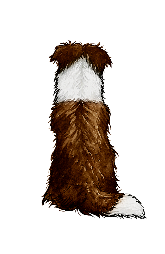 Border Collie Sticker