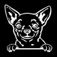 Chihuahua Peeking - Vinyl Decal
