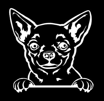 Chihuahua Peeking - Vinyl Decal