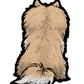 Pomeranian Sticker