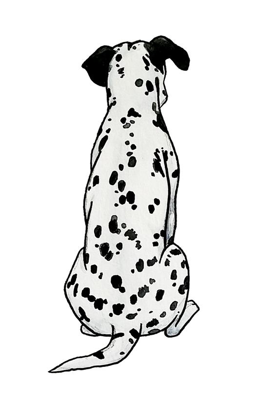 Dalmatian Sticker