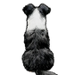 Australian Shepherd - Sticker