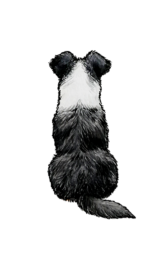 Australian Shepherd - Sticker