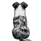 Australian Shepherd - Sticker