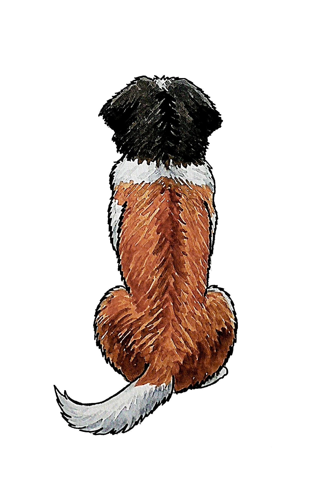 Saint Bernard - Sticker