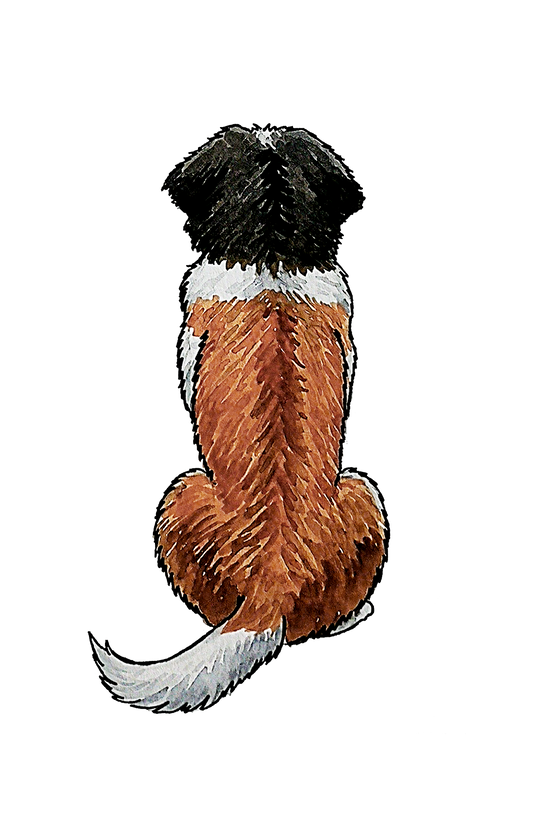 Saint Bernard - Sticker