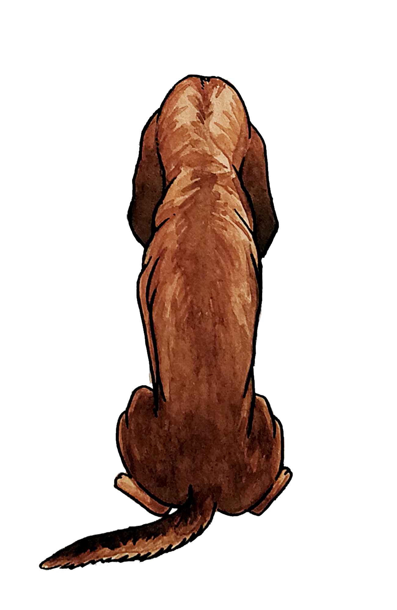 Bloodhound Sticker