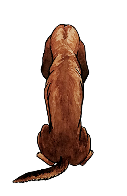 Bloodhound Sticker