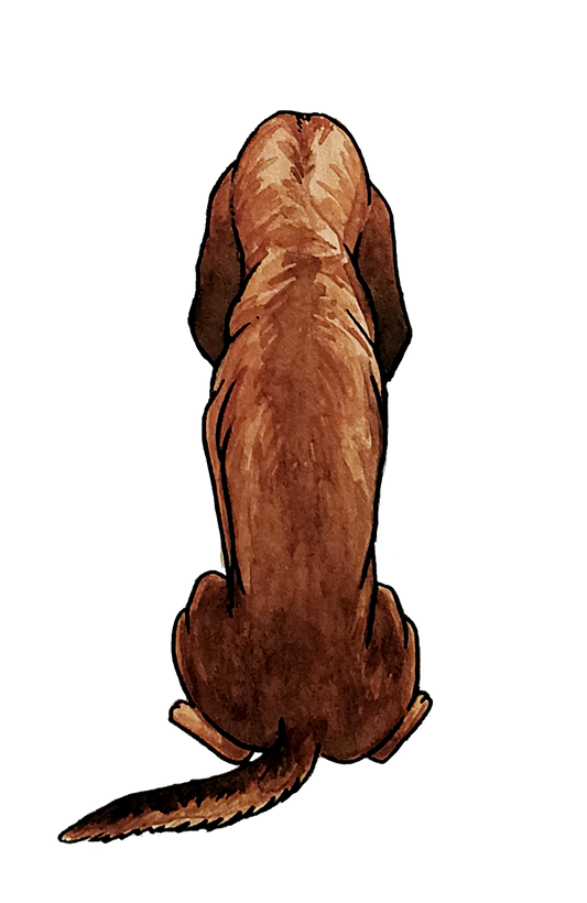 Bloodhound Sticker