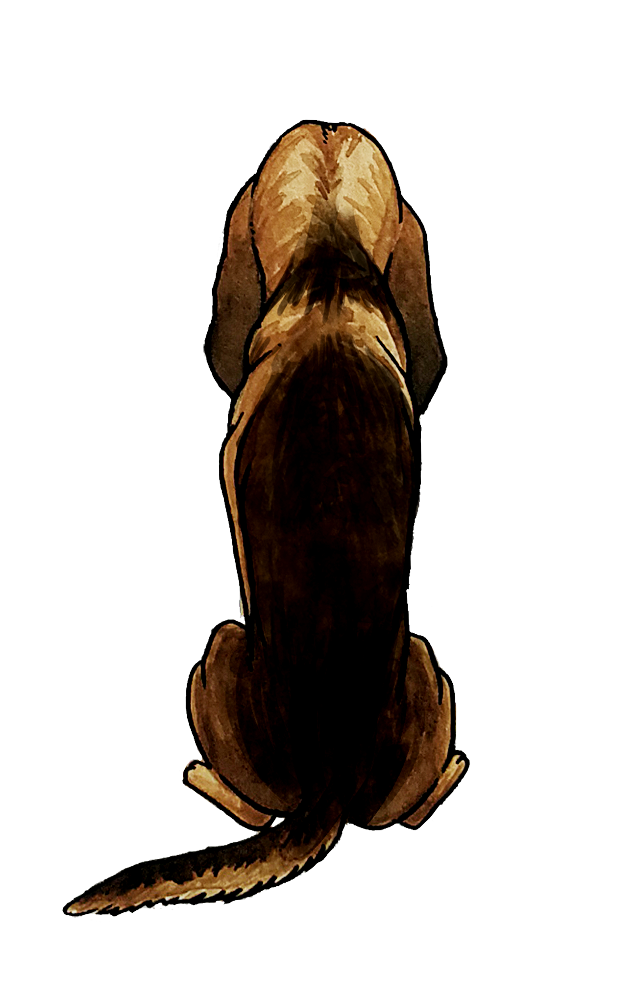 Bloodhound Sticker