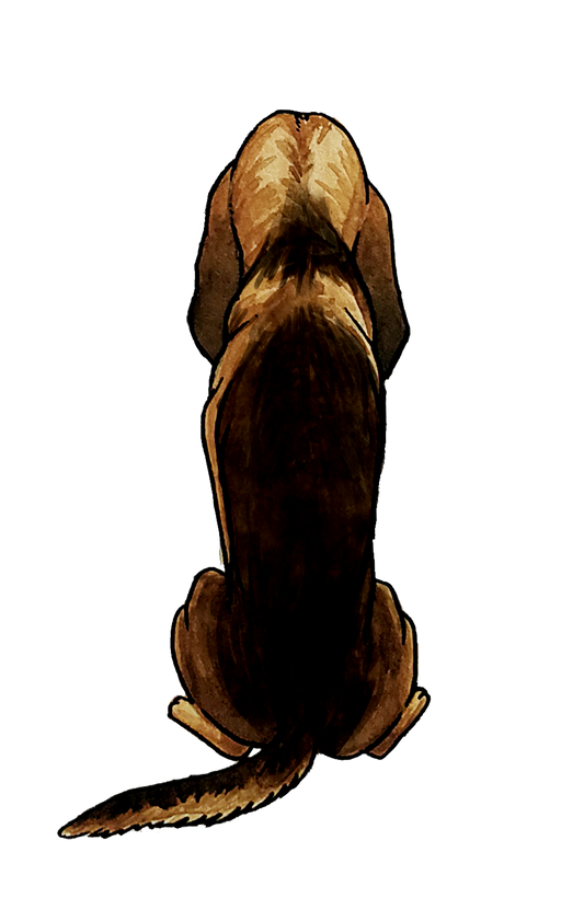 Bloodhound Sticker