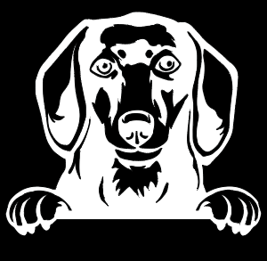 Dachshund Peeking - Vinyl Decal