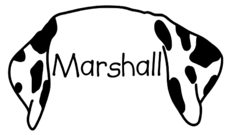 Dalmatian Mom or Custom Name Ears - Vinyl Decal