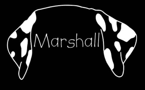 Dalmatian Mom or Custom Name Ears - Vinyl Decal