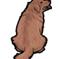 Golden Retriever Sticker #2