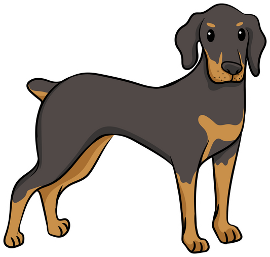 Doberman Pinscher Sticker