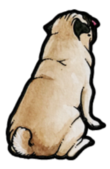 Pug Sticker