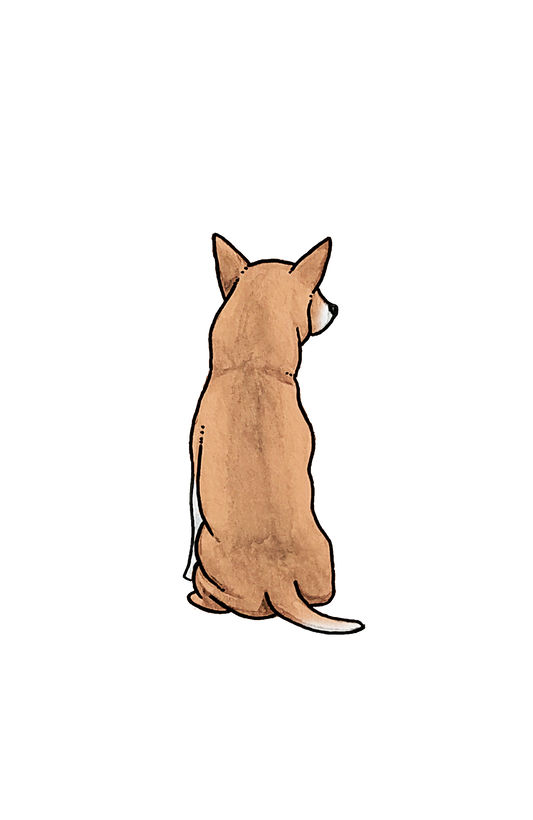 Chihuahua Sticker