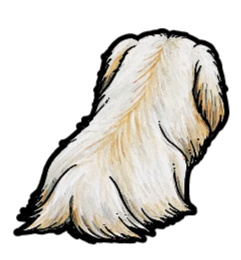 Pekingese Sticker