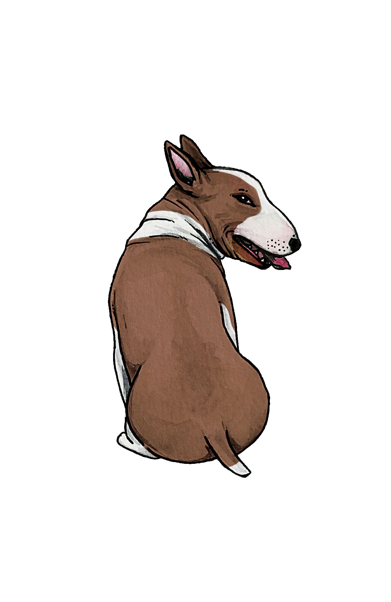 Bull Terrier - Sticker