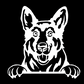 German Shepherd Peeking - Vinyl Decal