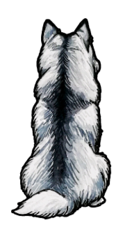 Siberian Husky Sticker