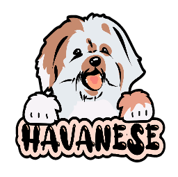 Havanese - Sticker