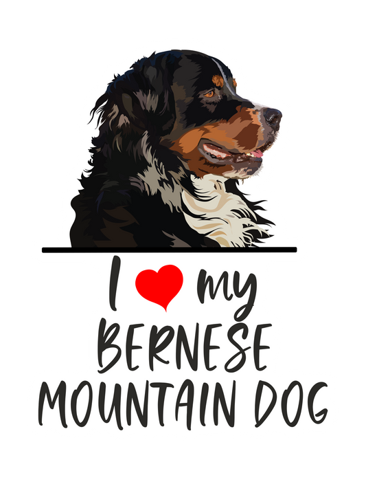 I Love My Bernese Mountain Dog Sticker